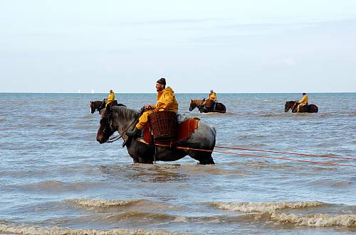 The Ancient Skill Of Shrimp Fishing On Horseback